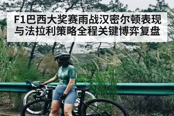 F1巴西大奖赛雨战汉密尔顿表现与法拉利策略全程关键博弈复盘